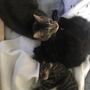 Meet your Posher, Eleanor